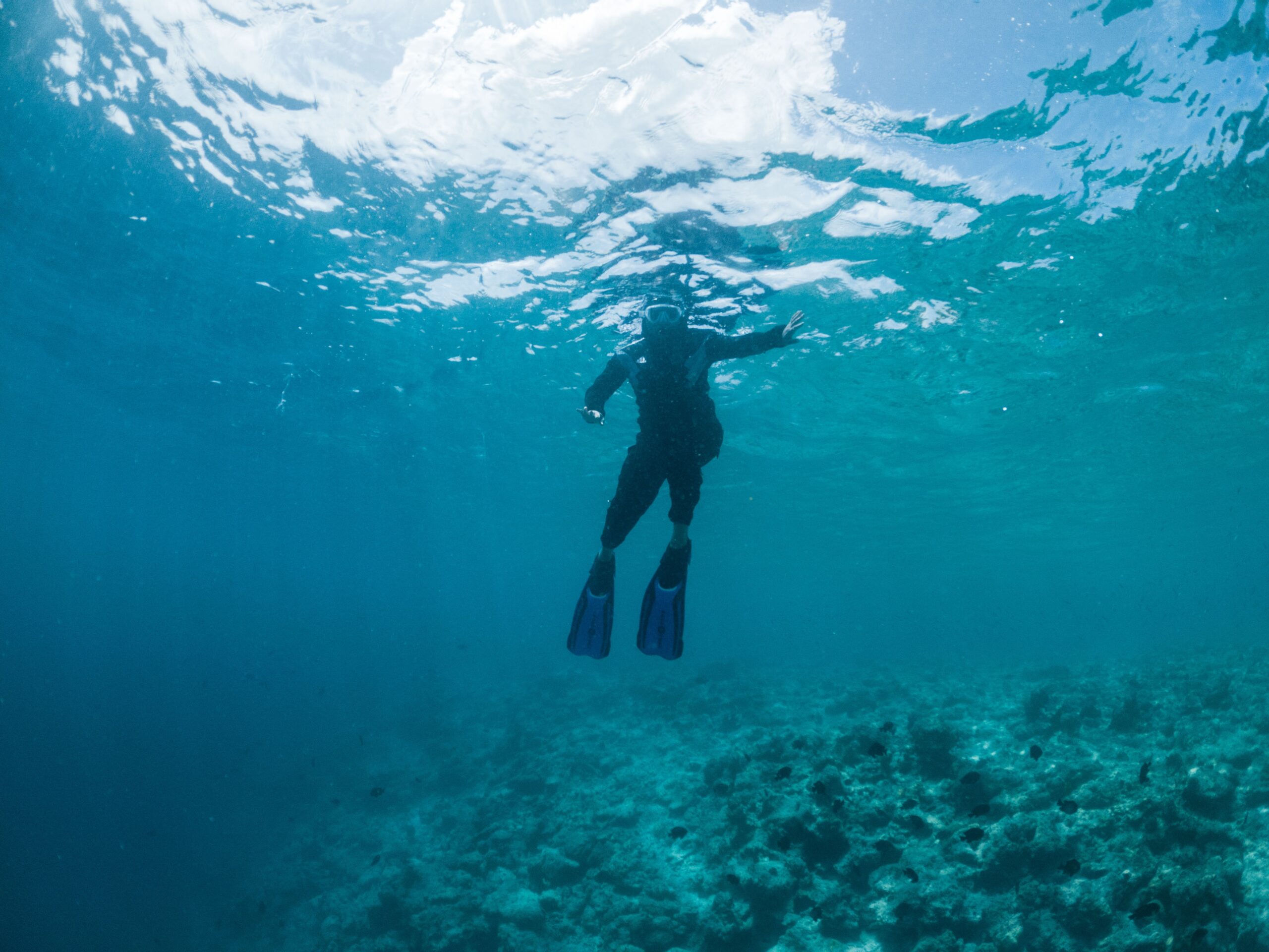 Les 10 expériences de plongée sous-marine incontournables pour des souvenirs époustouflants
